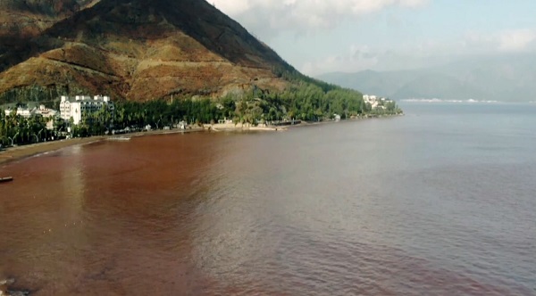 Foto - Denizin rengi bu hale döndü! Objektiflere yansıyan görüntü şaşırttı