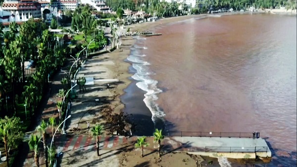 Foto - Denizin rengi bu hale döndü! Objektiflere yansıyan görüntü şaşırttı