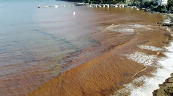 Foto - Denizin rengi bu hale döndü! Objektiflere yansıyan görüntü şaşırttı