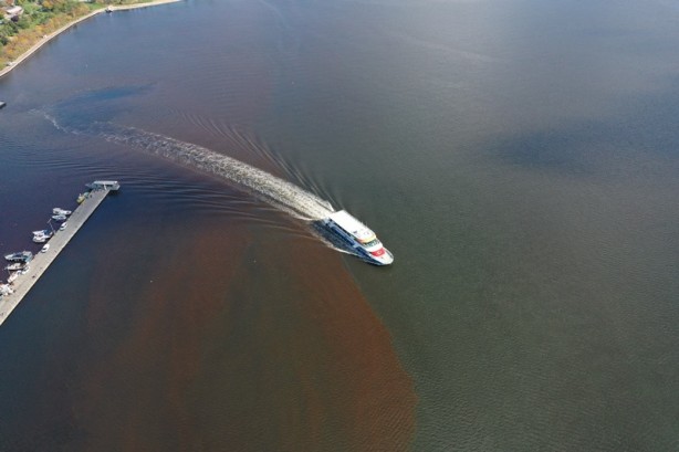Foto - Denizin rengi kahverengiye döndü