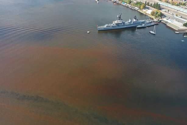 Denizin rengi kahverengiye döndü