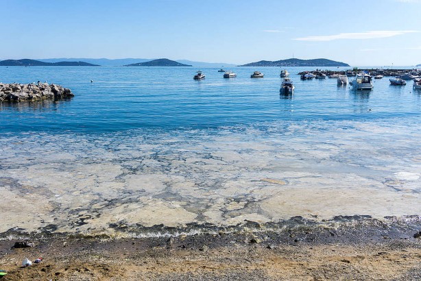 Foto - Denizler ve okyanuslar neden tuzludur hiç düşündünüz mü? Peki ya tuzsuz olsaydı?