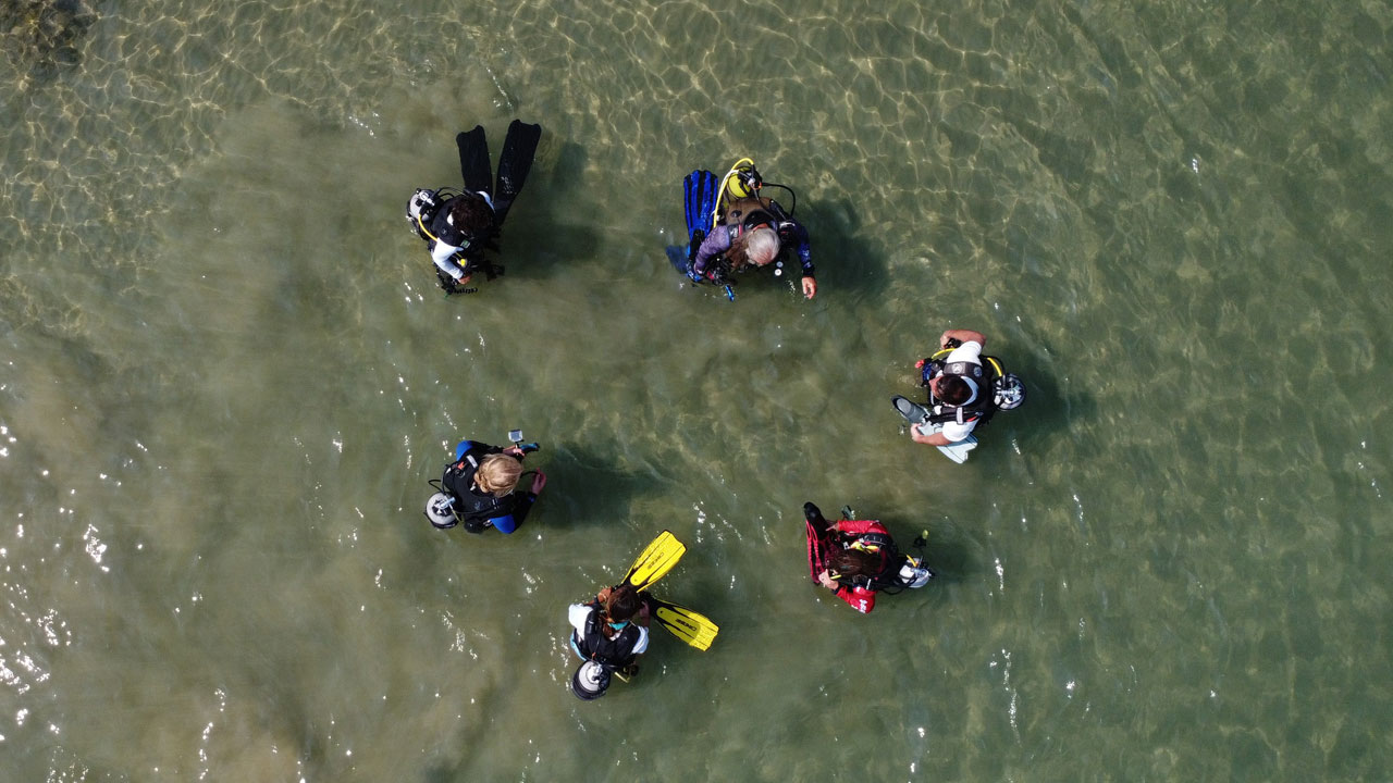 Foto - Denizlerde büyük sürpriz! Zehirli türler bir anda ortadan kayboldu