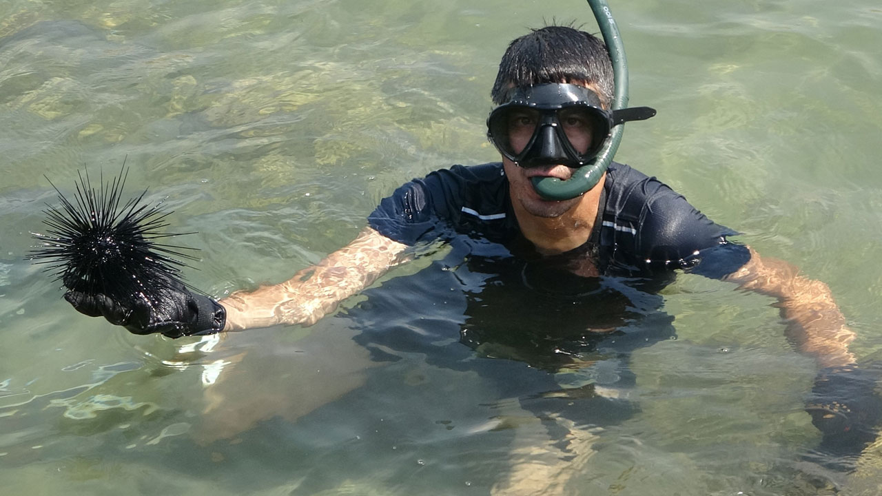 Foto - Denizlerde büyük sürpriz! Zehirli türler bir anda ortadan kayboldu