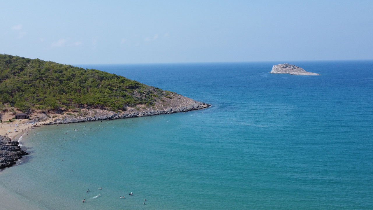Foto - Denizlerde büyük sürpriz! Zehirli türler bir anda ortadan kayboldu