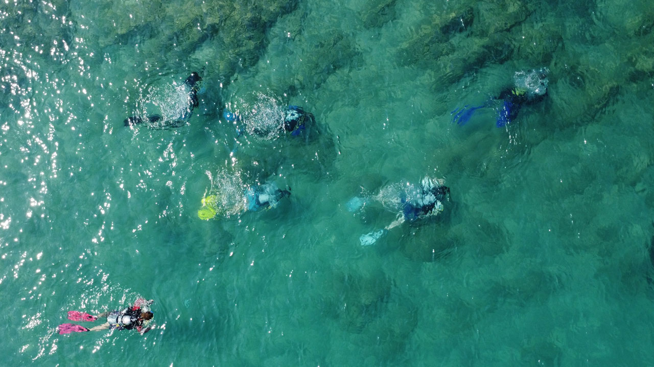 Foto - Denizlerde büyük sürpriz! Zehirli türler bir anda ortadan kayboldu