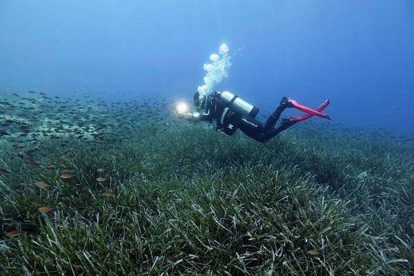 Foto - Denizlerin akciğerleri tehlike altında
