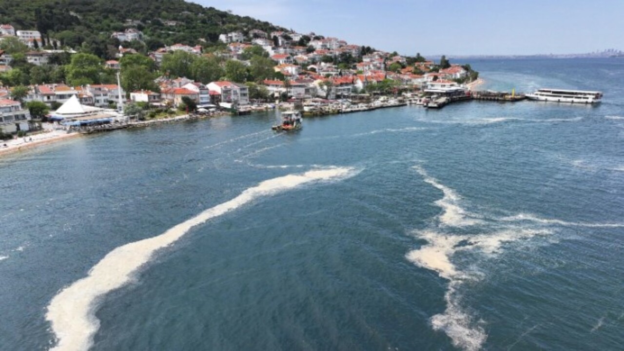 Foto - Denizlerin belası geri döndü! Marmara için tehlike kapıda