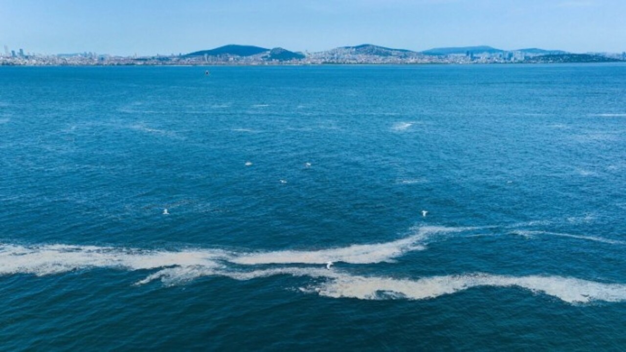 Foto - Denizlerin belası geri döndü! Marmara için tehlike kapıda