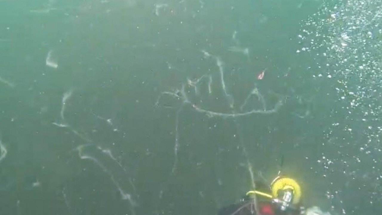 Foto - Denizlerin belası Marmara’ya geri döndü