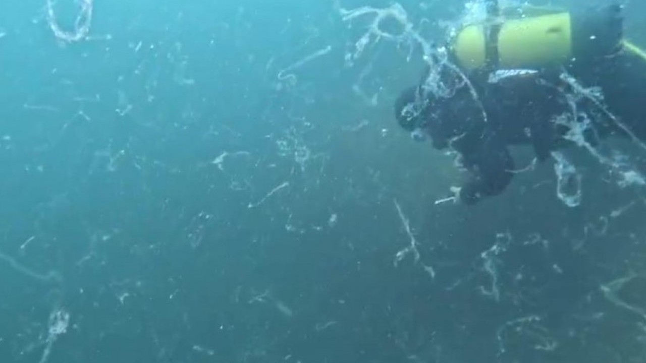 Foto - Denizlerin belası Marmara’ya geri döndü