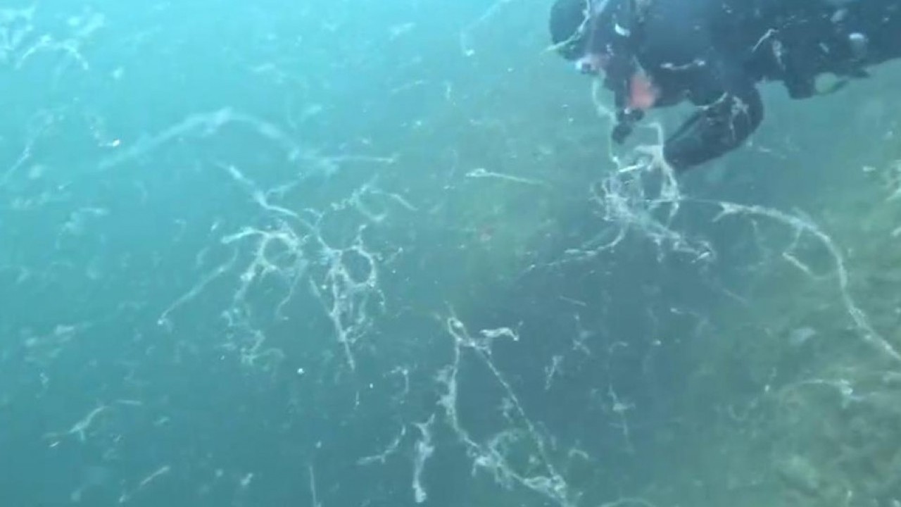 Foto - Denizlerin belası Marmara’ya geri döndü