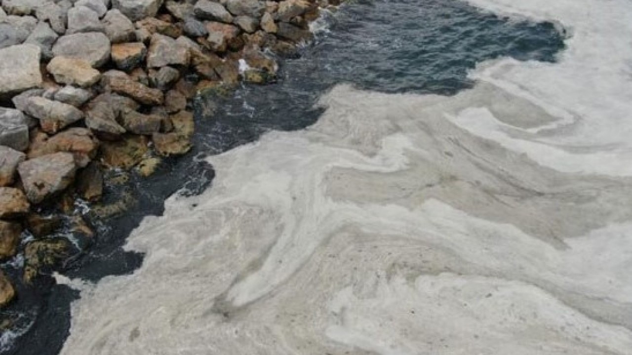 Denizlerin belası Marmara’ya geri döndü