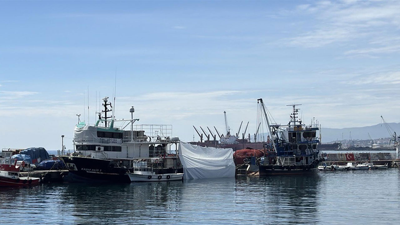 Foto - Denizlerin belası Marmara’ya geri döndü! Tekirdağlı balıkçılar av sezonunu kapattı