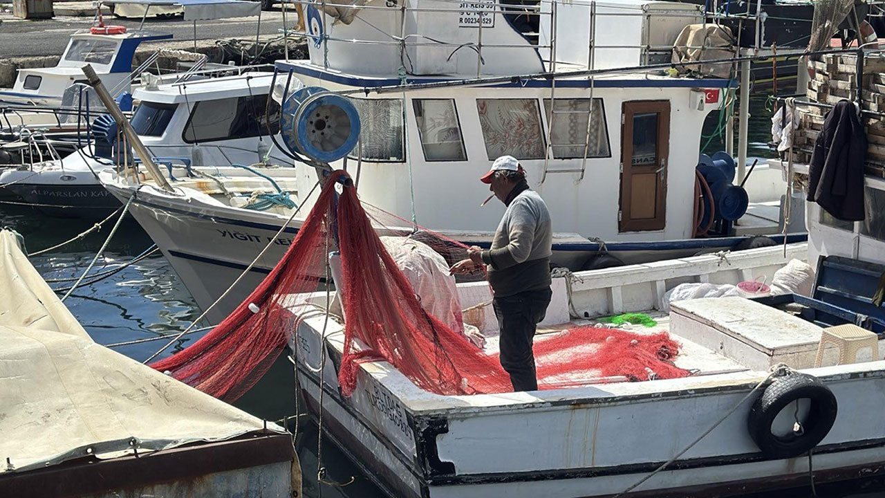 Denizlerin belası Marmara’ya geri döndü! Tekirdağlı balıkçılar av sezonunu kapattı