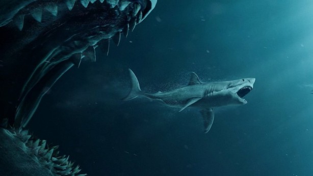 Denizlerin yeni hakimi ortaya çıktı! Film değil gerçek: Büyük beyaz köpekbalıkları bile ondan arkalarına bakmadan kaçıyor! Alayını tek lokmada yutuyor