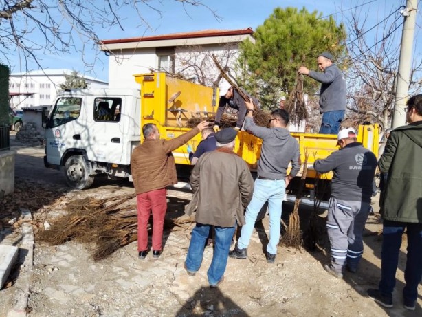 Foto - Denizli cevizin marka şehri olacak