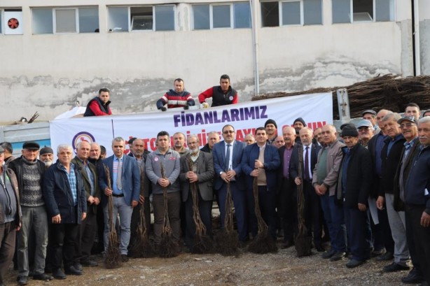 Foto - Denizli cevizin marka şehri olacak