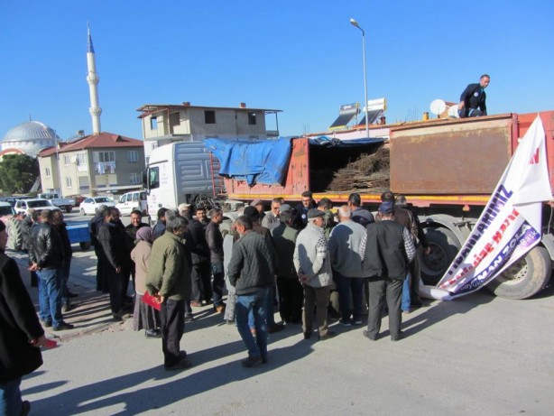 Foto - Denizli cevizin marka şehri olacak