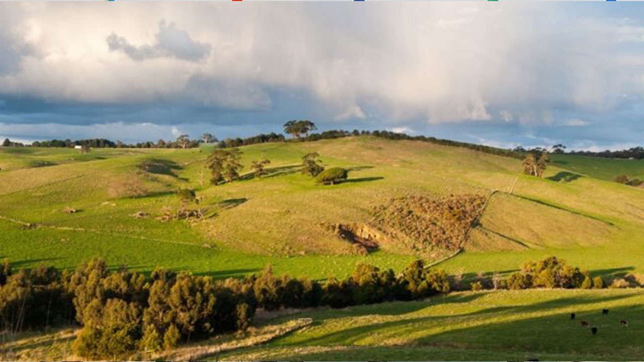 Foto - Denizli, Gaziantep, Malatya, Mersin, Sakarya ve Sivas'ta yaşayanlar dikkat! Arazilere acele el konulacak
