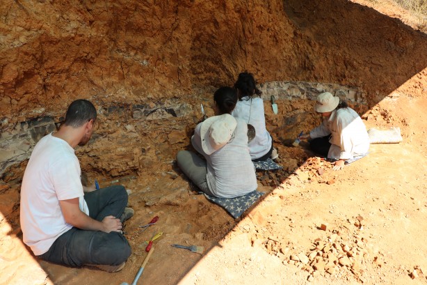 Foto - Denizli'de 9 milyon yıl öncesine ait olduğu değerlendirilen hayvan fosilleri bulundu