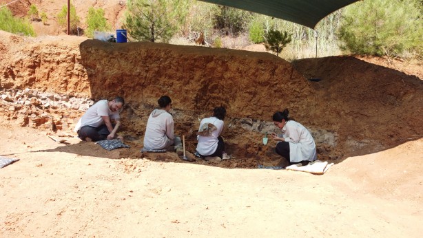 Foto - Denizli'de 9 milyon yıl öncesine ait olduğu değerlendirilen hayvan fosilleri bulundu