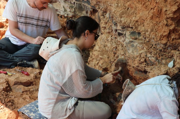 Foto - Denizli'de 9 milyon yıl öncesine ait olduğu değerlendirilen hayvan fosilleri bulundu