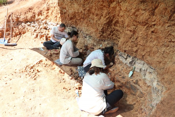 Foto - Denizli'de 9 milyon yıl öncesine ait olduğu değerlendirilen hayvan fosilleri bulundu