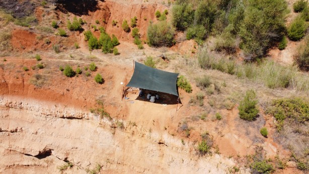 Foto - Denizli'de 9 milyon yıl öncesine ait olduğu değerlendirilen hayvan fosilleri bulundu