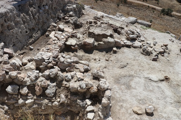 Foto - Denizli'de bulundu! Bu çekirdek 3500 yıllık