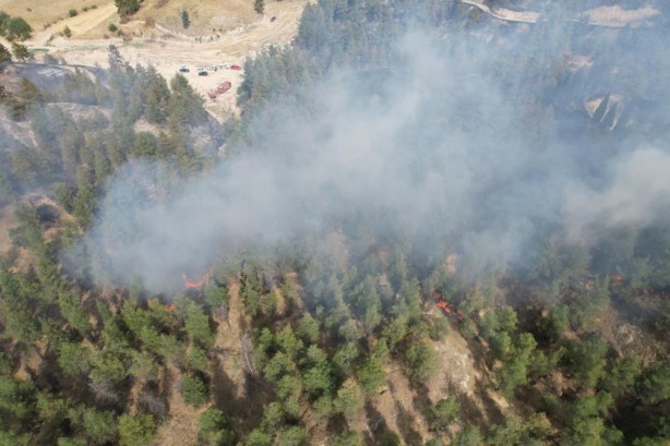 Foto - Denizli’de evlere yakın alanda orman yangını!
