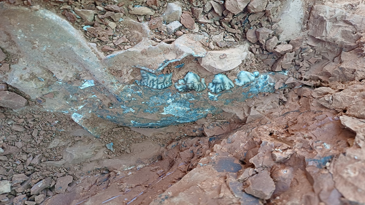 Foto - Denizli’de, kazmayı vurdukça fışkırdı! Dünya tarihine geçecek cinsten