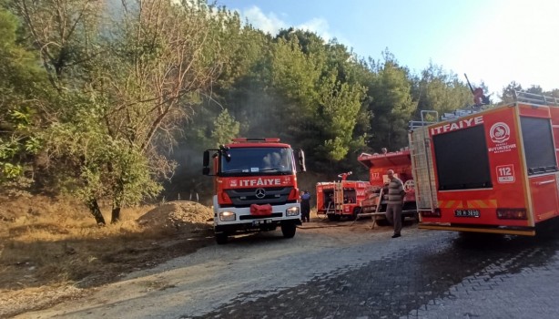 Foto - Denizli'de orman yangını çıktı