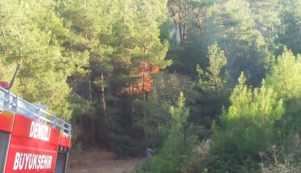 Denizli'de orman yangını çıktı