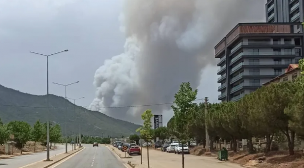 Denizli’deki orman yangınından görüntüler geldi