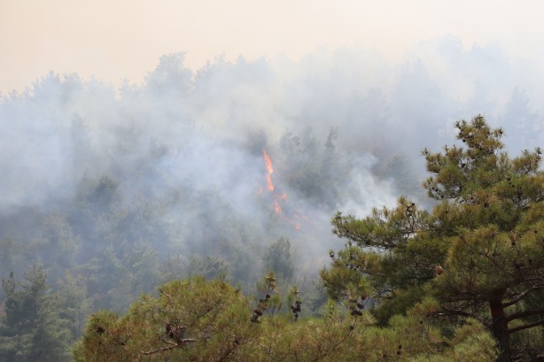Foto - Denizli’deki orman yangınından görüntüler geldi