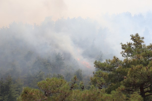 Foto - Denizli’deki orman yangınından görüntüler geldi