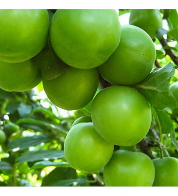 Foto - Denizli’den Türkiye'yi sallayan korkunç bir haber geldi! Bu resmen kıyamet alameti