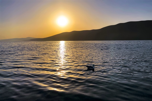 Foto - Denizsiz kentin balıkçı çifti