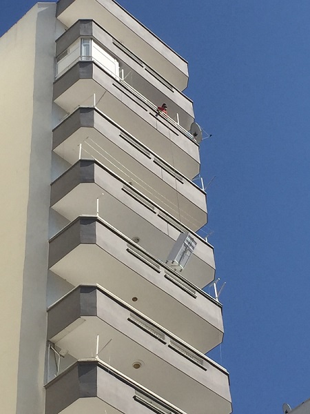 Foto - Deprem bitti ekmek mücadelesi başladı | Canlarını böyle hiçe sayıyorlar! 