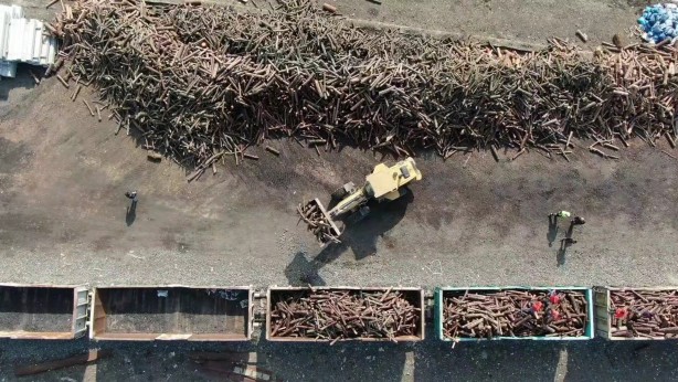Foto - Deprem bölgesi için toplanan odunlar trenle gönderilecek