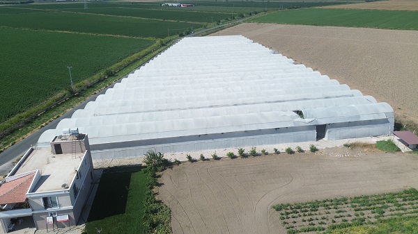 Foto - Deprem bölgesinde hasat zamanı