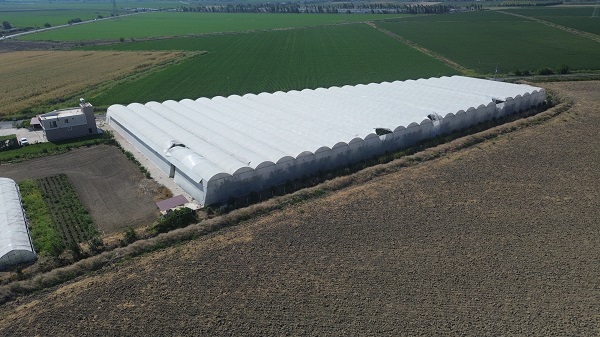 Foto - Deprem bölgesinde hasat zamanı