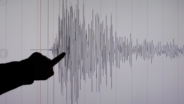 Foto - 'Deprem habercisi' denilen yılanlar uyandı! Bir şehri korku sardı