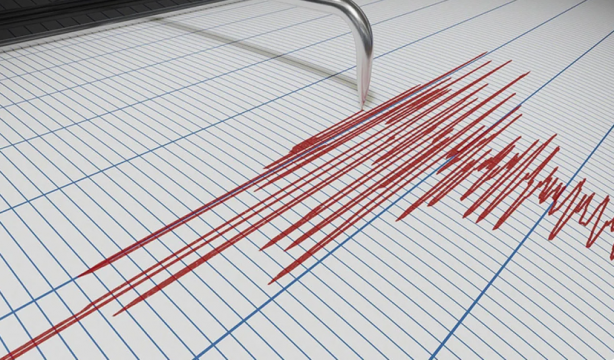 Foto - 'Deprem habercisi' denilen yılanlar uyandı! Bir şehri korku sardı