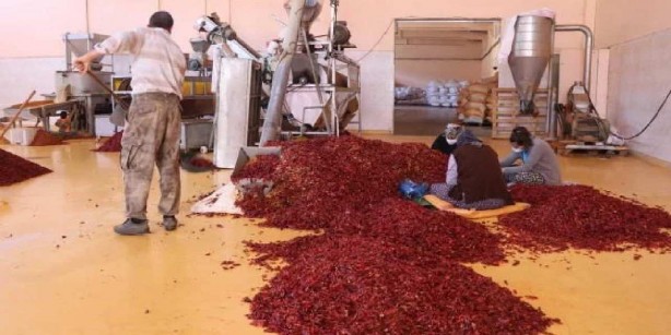 Foto - Deprem meprem dinlemediler, bunu satıp milyon dolarlar kazandılar! Amerika’dan Almanya’ya kadar tam 25 ülke peşinde! Siz ne yaptınız böyle