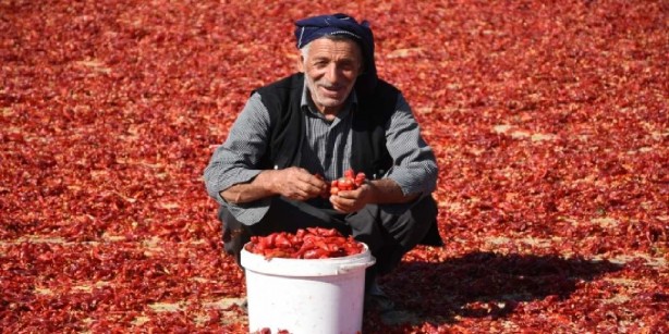 Foto - Deprem meprem dinlemediler, bunu satıp milyon dolarlar kazandılar! Amerika’dan Almanya’ya kadar tam 25 ülke peşinde! Siz ne yaptınız böyle