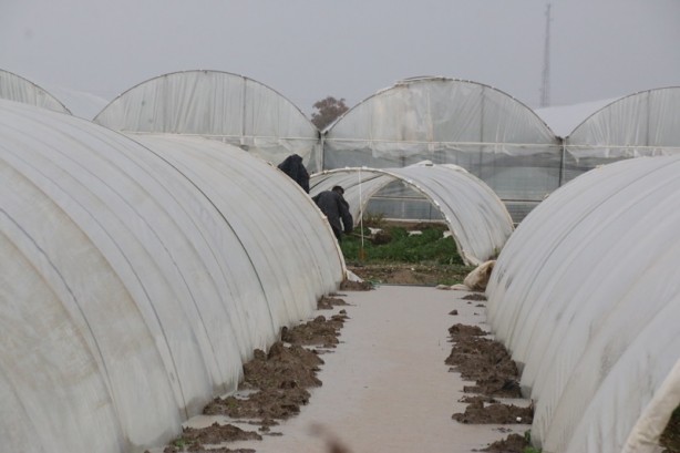 Foto - Deprem olur gibi! 1 senelik emek 5 dakikada uçtu