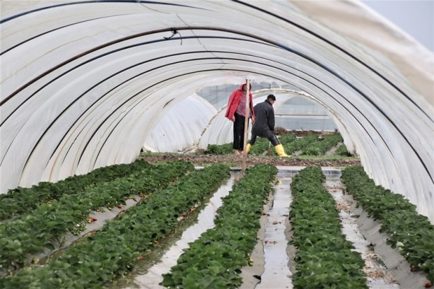 Foto - Deprem olur gibi! 1 senelik emek 5 dakikada uçtu
