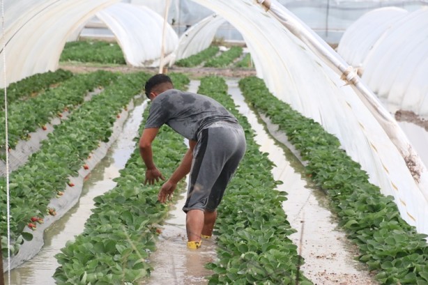 Foto - Deprem olur gibi! 1 senelik emek 5 dakikada uçtu